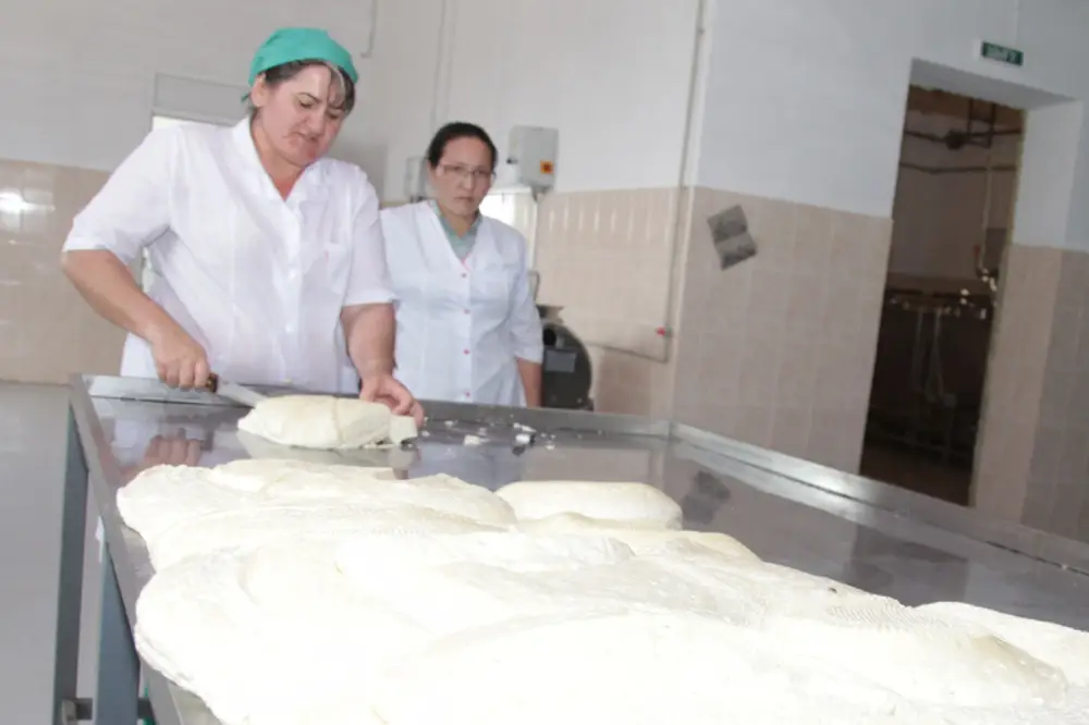 Более 2,5 тыс. человек работают в сфере переработки сельхозпродукции в Жамбылской области (8)