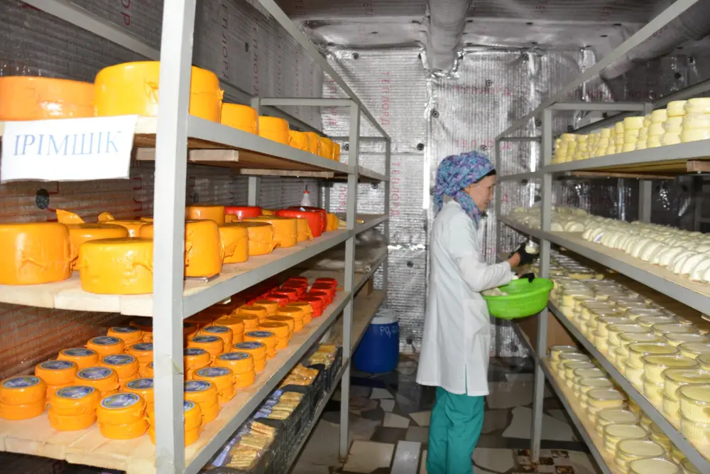 Более половины сельхозпродукции Жамбылской области обеспечивает животноводство (3)