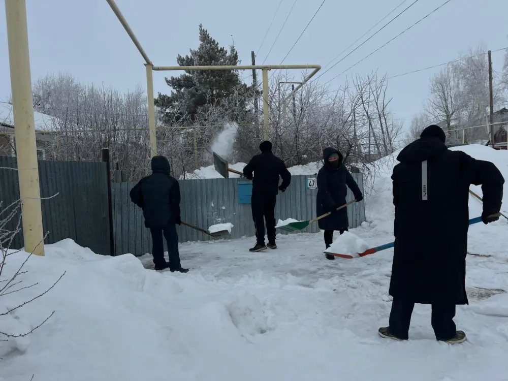 В Денисовском районе волонтёры поддержали пожилых людей в рамках акции «Снежный десант» Павлодаре