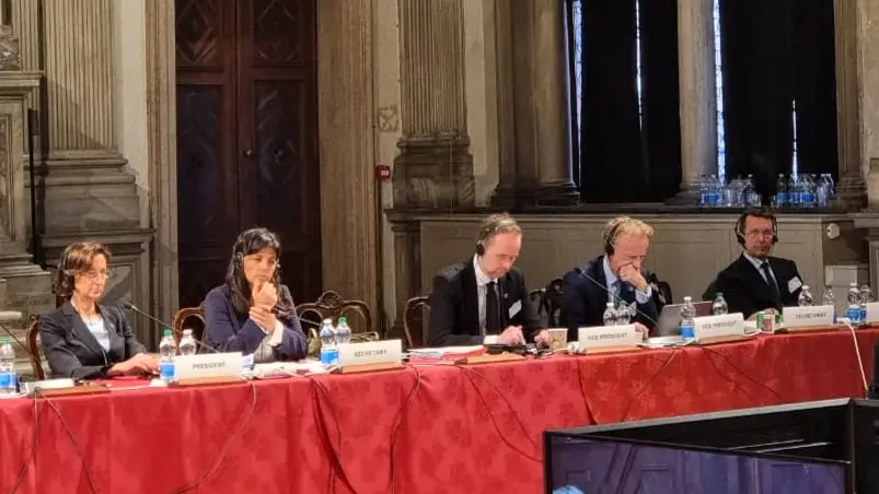 Венецианская комиссия обсудила законодательные инициативы более шести стран (2)