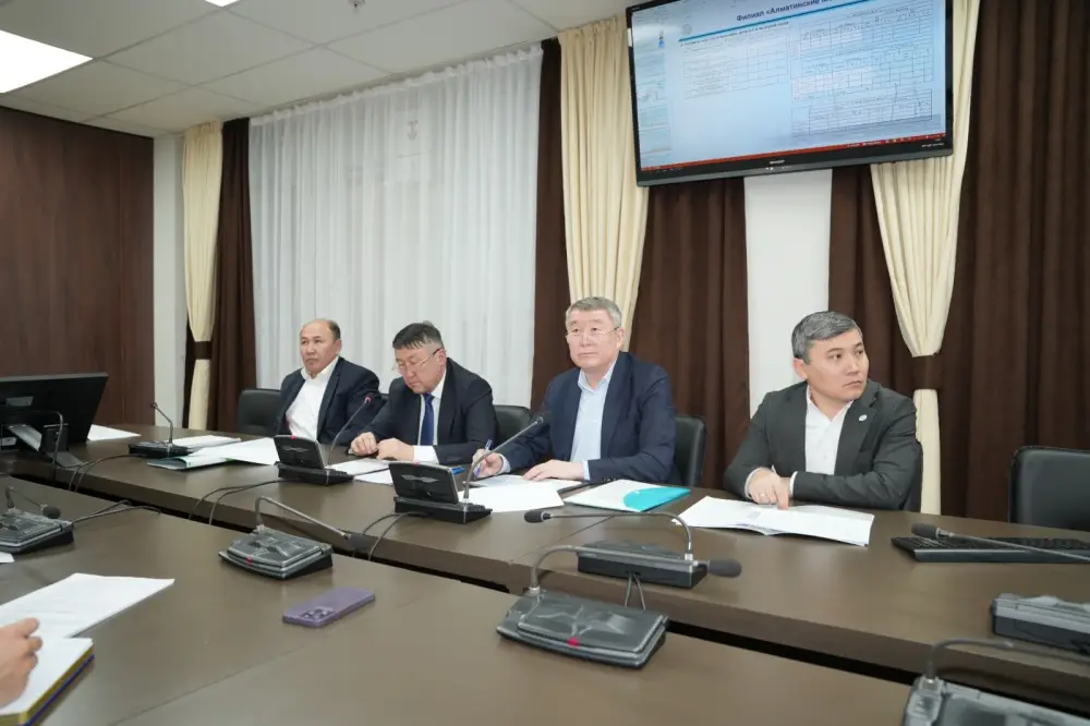 В Казахстане обновят 17 тыс. км электролиний и 444 высоковольтных подстанций (2)