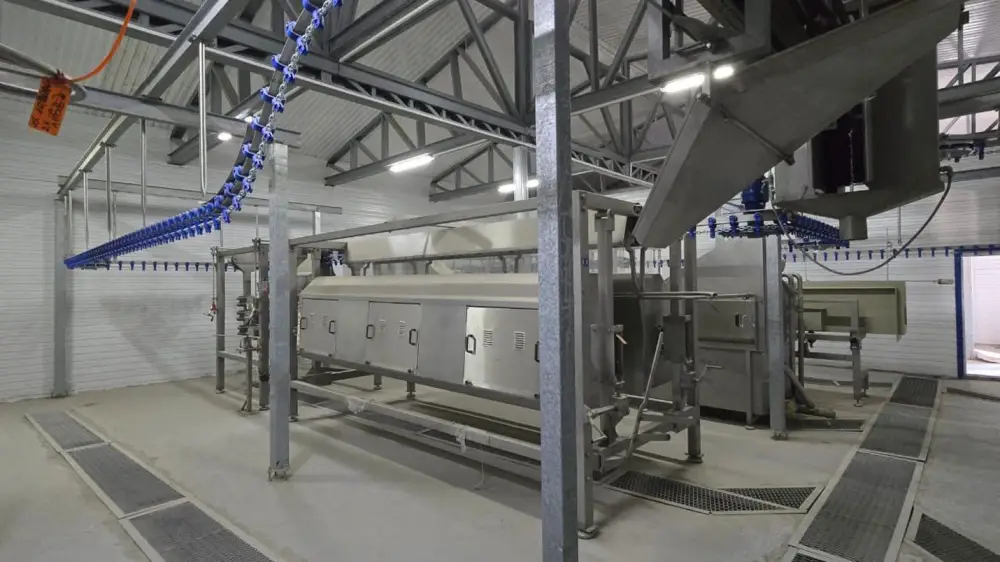 Птицефабрику мощностью 3,5 тыс. тонн в год запустят в Кызылординской области (3)