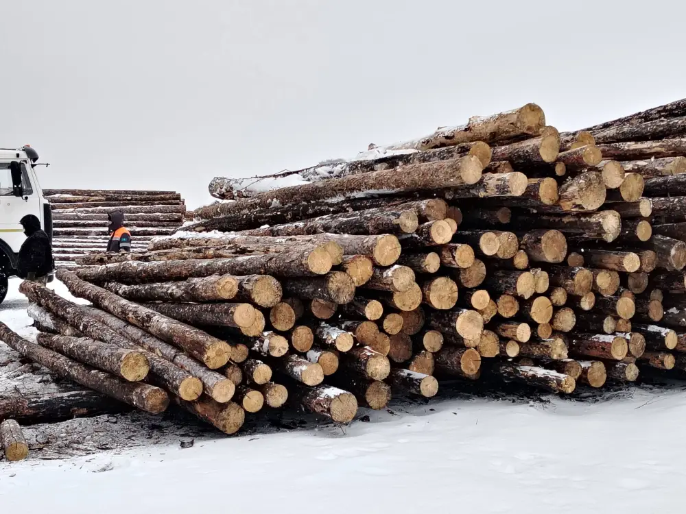 В Казахстане подведены итоги пилотного проекта по маркировке древесины (4)