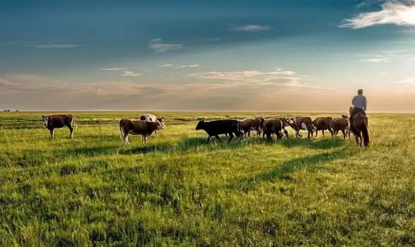 В ТУРКЕСТАНСКОЙ ОБЛАСТИ БОЛЕЕ 200 ТЫСЯЧ ГЕКТАРОВ ПАСТБИЩ ПЕРЕДАНЫ В ОБЩЕЕ ПОЛЬЗОВАНИЕ (3)