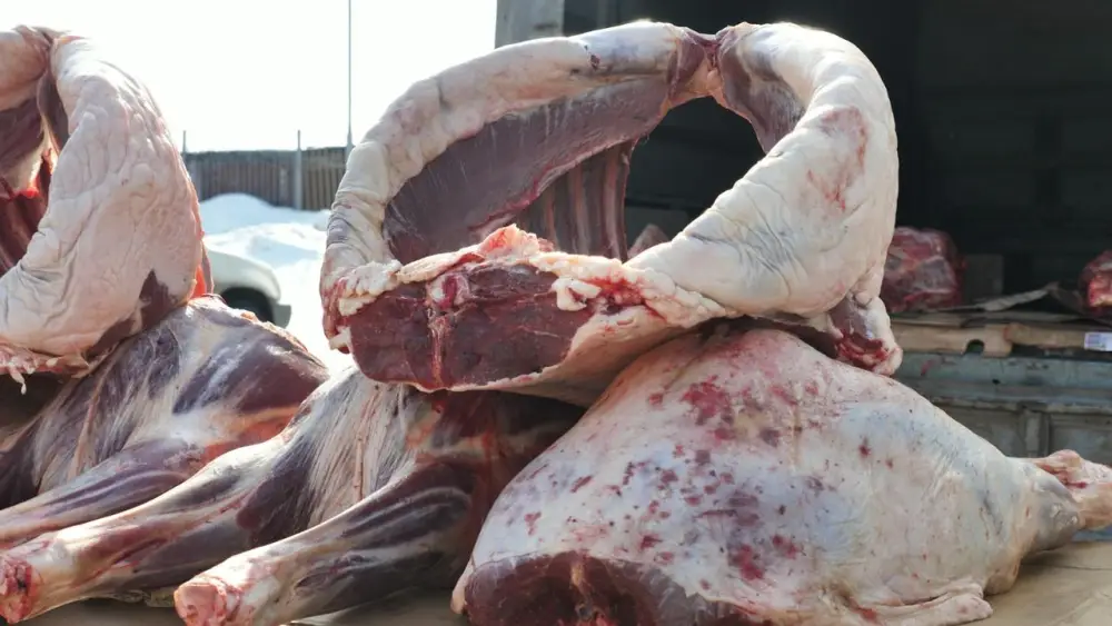 Ярмарки «Nauryz Sale» и большие скидки: что подготовили для жителей Астаны (4)