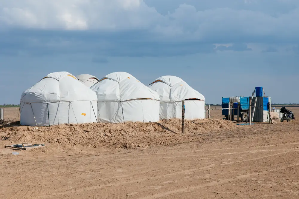 До 10 тысяч гектаров увеличатся посевные площади в Атырауской области (2)