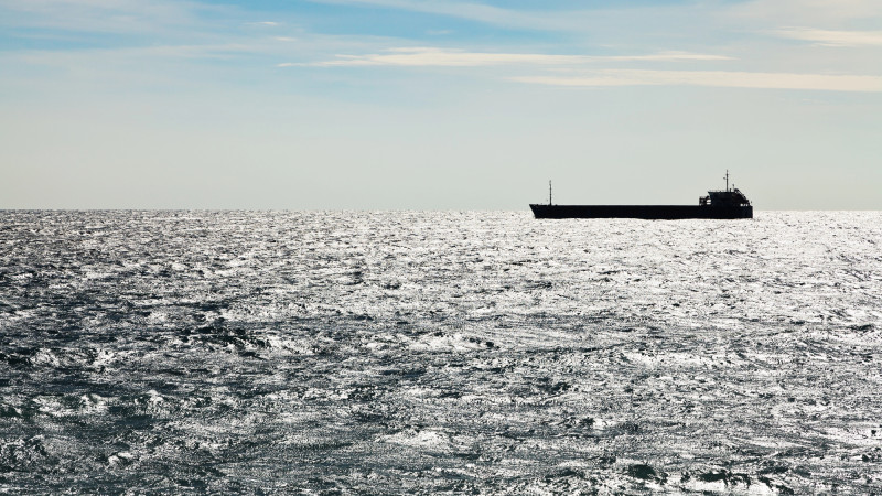 Атака на танкер Maran Homer в Чёрном море: Министерство энергетики Казахстана прокомментировало инцидент Павлодаре