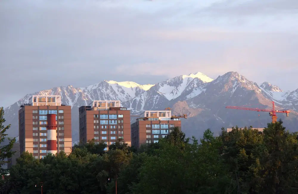 Алматы готовится к весеннему сражению с грызунами Павлодаре