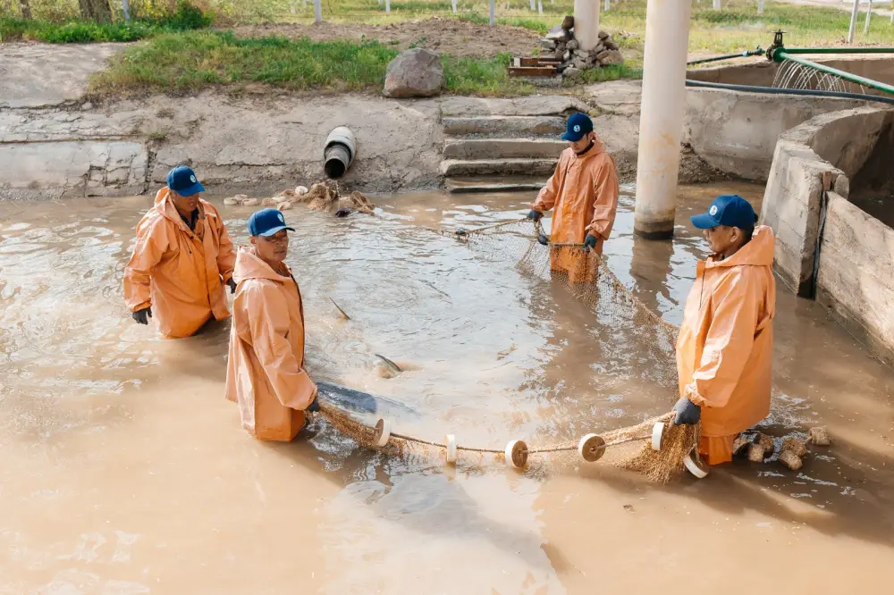 В Махамбетском районе будет введён в эксплуатацию завод по выращиванию рыбы с годовой мощностью 130 тонн (4)