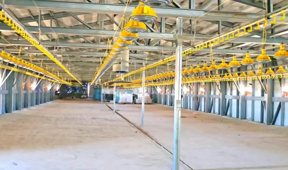 Новая птицефабрика в Кызылординской области: инвестиции в агропромышленный комплекс Казахстана Павлодаре