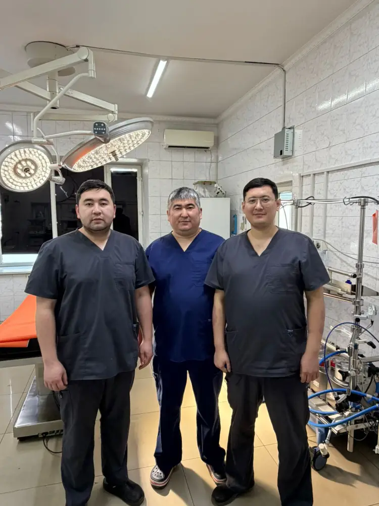 В Алматинской области врачи вытащили 64-летнего пациента из водоворота сосудистой опасности Павлодаре