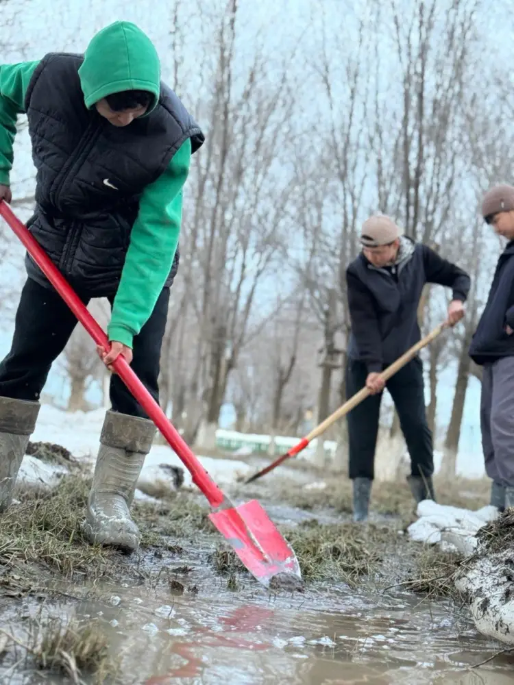 Маленькие хранители природы: как юные экологи села Алгабас восстанавливают родники и леса Павлодаре
