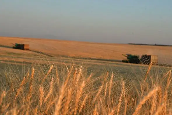 Туркестанская область: весеннее пробуждение полей под солнцем нового урожая Павлодаре