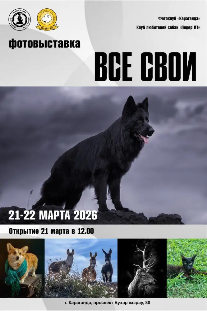 В кадре и в жизни: в Караганде объединят фотоэкспозицию и выставку собак Павлодаре