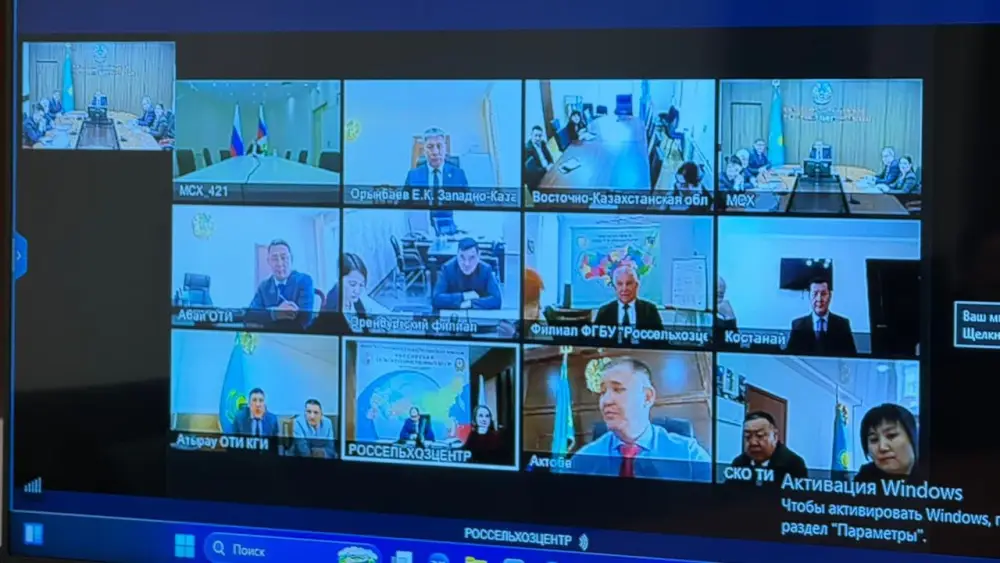 Казахстан и Россия подпишут План совместных мероприятий по борьбе с саранчовыми вредителями Павлодаре