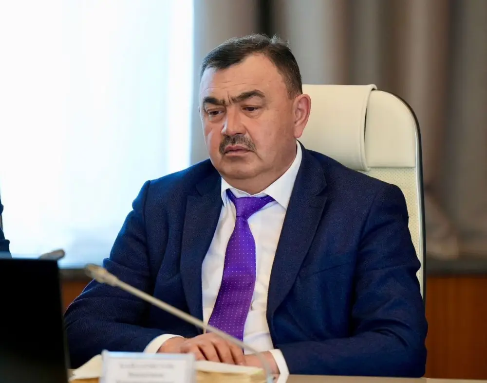 В ВКО за два года будет высажено 36 млн штук саженцев (3)