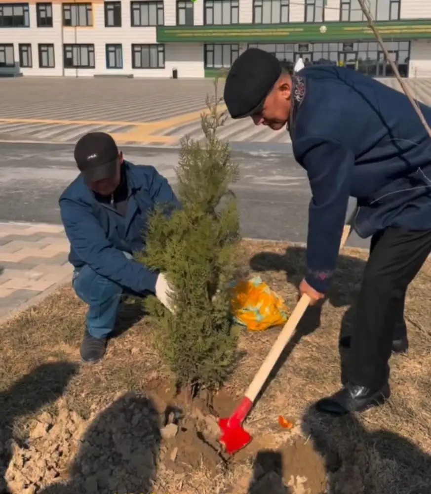 Родители сажают саженцы в дворах «Келешек мектептері»: инициатива, связывающая школу и семью в Кызылординской области Павлодаре