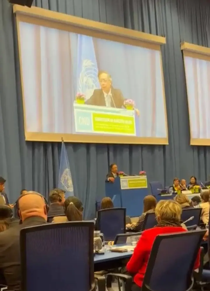 Казахстан: шахматная партия с наркобизнесом в ООН Павлодаре