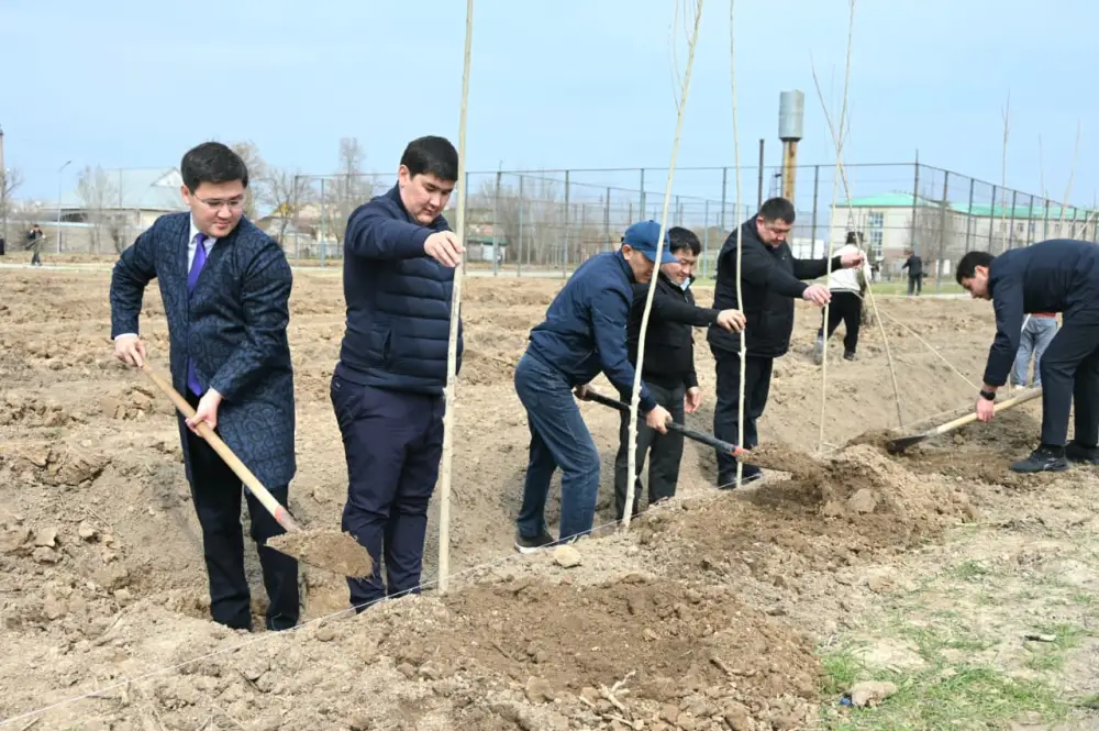 В Жетысайском районе высажено 5 тысяч саженцев в день обновления Павлодаре
