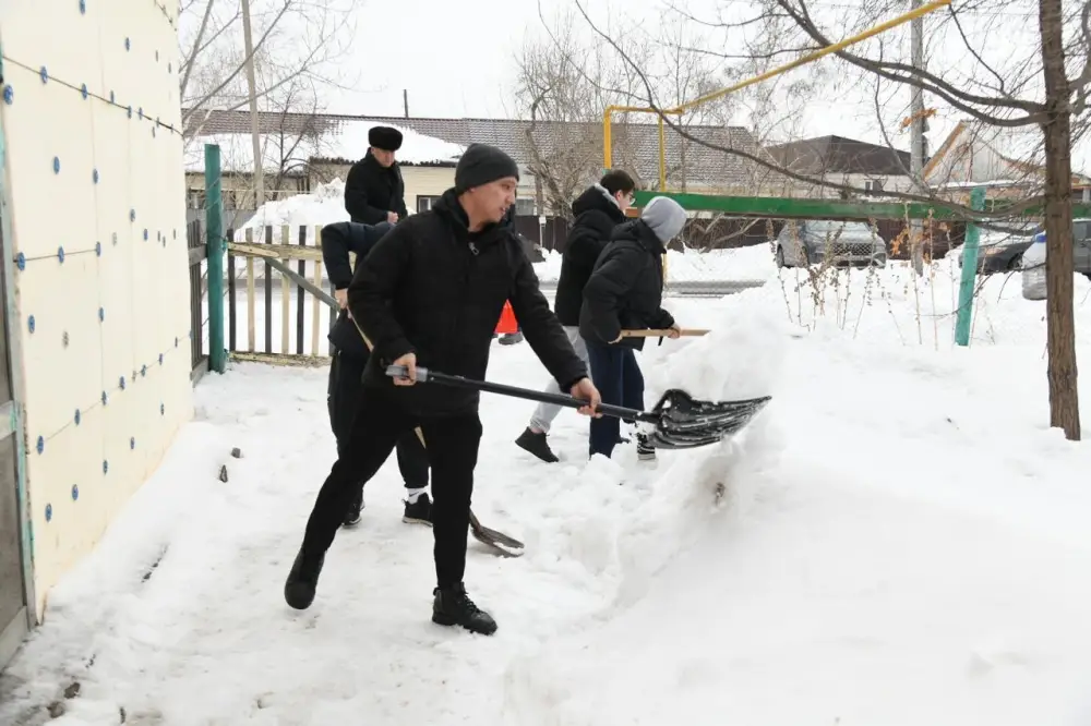 Активисты столичного Дома дружбы убрали снег во дворах пенсионеров (7)