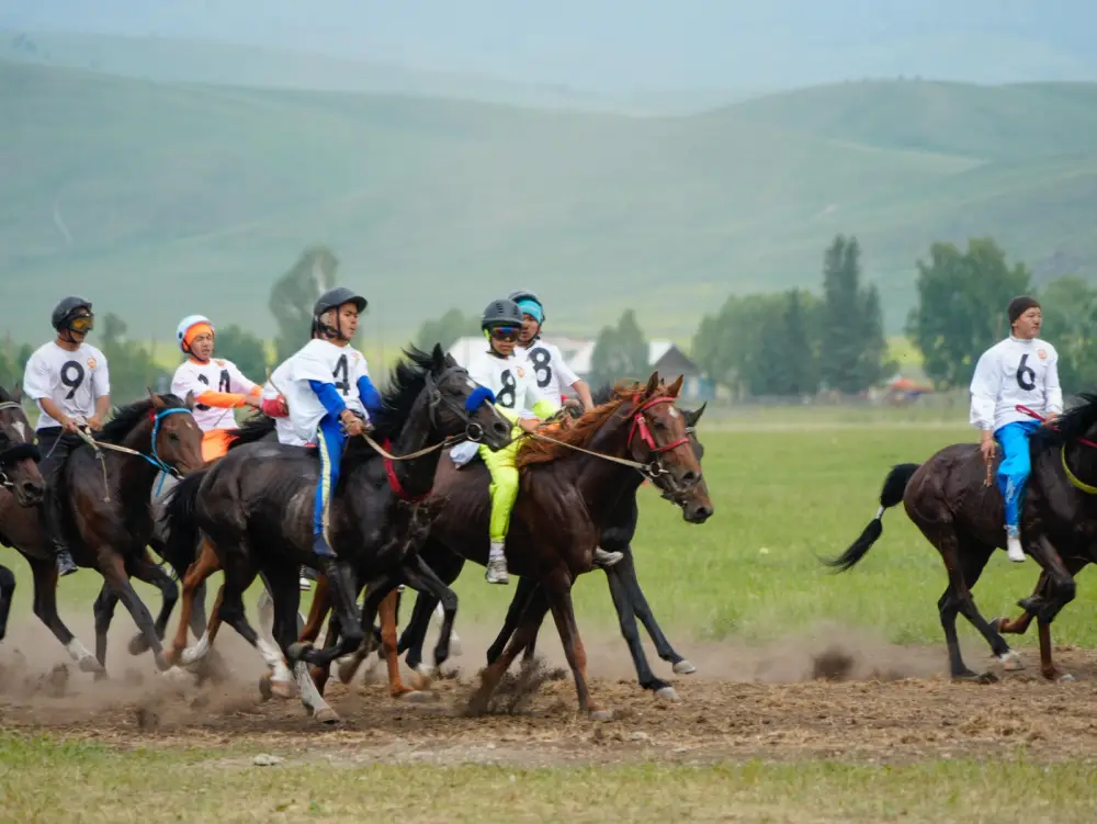 Катон-Карагай становится центром туристического притяжения ВКО (3)