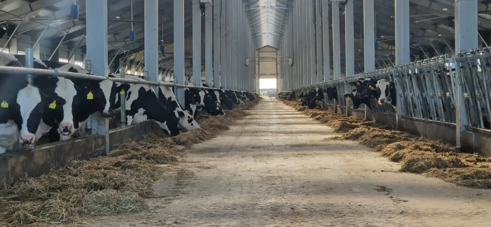 Аграрии Казахстана получили доступ к льготному кредитованию животноводства под 6% Павлодаре