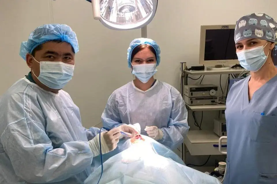 Технологические инновации в медицине Туркестана: новые горизонты для пациентов Павлодаре