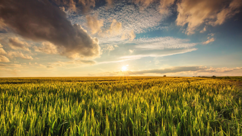 Социальные последствия климатических изменений: прогноз погоды в Казахстане на весну и лето 2026 года Павлодаре