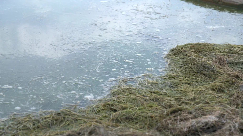 На страже от наводнений: МЧС Казахстана создает 'паводковый щит' для защиты страны Павлодаре