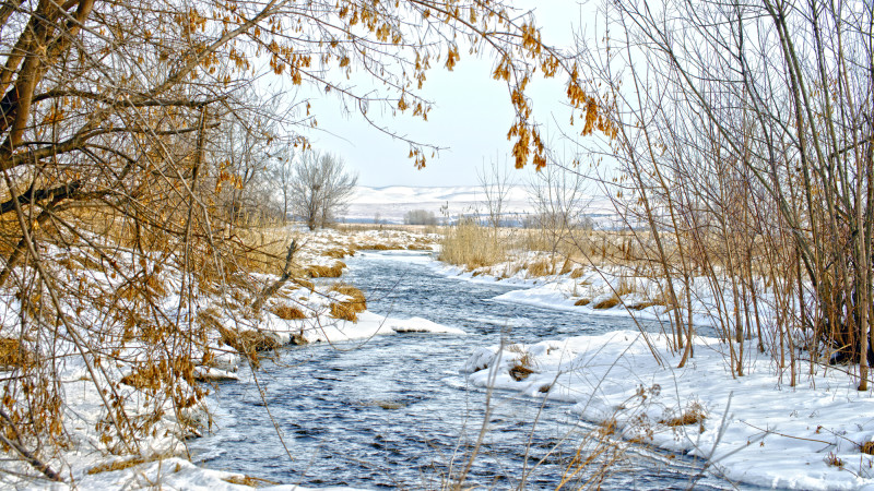 Тепло до 15 градусов в Казахстане: возможные последствия для сельского хозяйства и здоровья населения Павлодаре