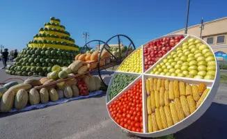 Создание 201 новых сельскохозяйственных кооперативов в Туркестанской области: влияние на экономическое развитие региона