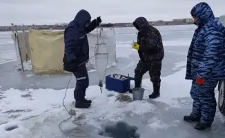 Водные тайны Балхаша: ученые раскрывают секреты рыбных запасов