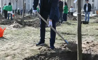 Алматы высадил рощу деревьев к Наурызу