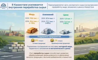 Увеличение внутренней переработки сырья в Казахстане: новые возможности для экспорта и инноваций