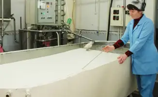 Развитие переработки сельхозпродукции в Жамбылской области: создание более 2,5 тыс. рабочих мест