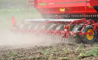 Засеянные горизонты: Павлодарская область подготовила 1,7 млн га для урожая 2026 года