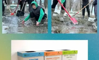 Экологические мероприятия в образовательных организациях