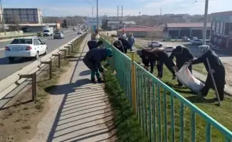 Субботник в Сарыагаше: улучшение санитарного состояния и борьба с несанкционированными свалками