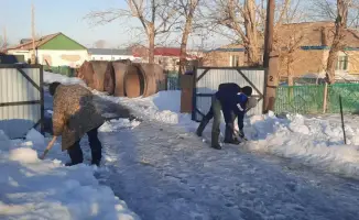 Внимание международного сообщества: жители Карагандинской области призваны к действиям в связи с таянием снега
