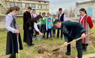 В Туркестанской области прошла акция по посадке саженцев в рамках инициативы «Мөлдір бұлақ»