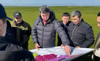 В Туркестанской области началась активная борьба с саранчой после выявления очагов с высокой плотностью вредителей