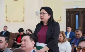 Развитие системы здравоохранения в Акмолинской области модернизация инфраструктуры снижение смертности