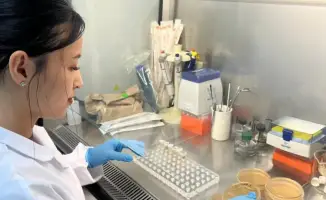 Разработка растительной добавки для иммунитета и контроля сахара в крови