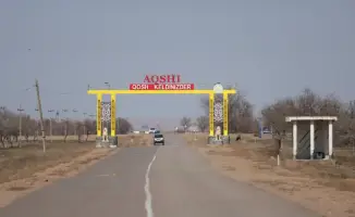 Масштабные озеленительные работы в Илийском районе: более 30 тысяч деревьев высаживается вдоль дороги