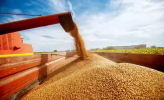 Рост спроса на зерно от птицеводческих предприятий как фактор продовольственной безопасности в стране