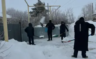В Денисовском районе волонтёры поддержали пожилых людей в рамках акции «Снежный десант»