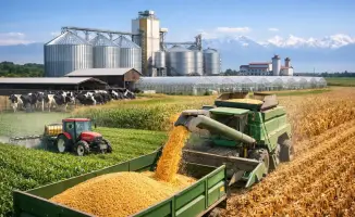 Алматы: 7 агропроектов на 44,6 млрд тенге