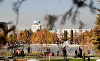 В Алматы подготовлены 1150 мест для продажи цветов к Международному женскому дню