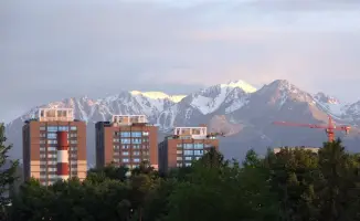 Алматы готовится к весеннему сражению с грызунами