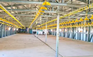 Новая птицефабрика в Кызылординской области: инвестиции в агропромышленный комплекс Казахстана